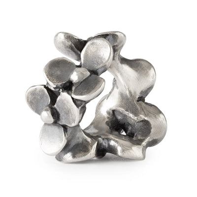 Bracciale in Pelle Starter- Giardino di Casa