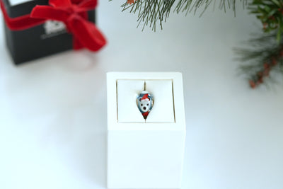 Paolo, l’orso polare con magnete