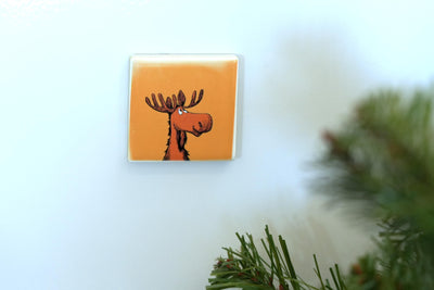 Rico, il cerbiatto con magnete