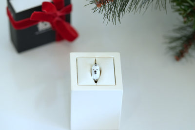 Bianco, l’orso polare con magnete